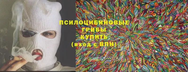 Псилоцибиновые грибы Cubensis  как найти закладки  MEGA вход  сайты даркнета клад  Мензелинск 